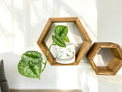 Set of 6 Honeycomb Shelves - 3.5" Depth