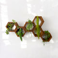 Mini Hexagon Wall Shelves, Set of 6