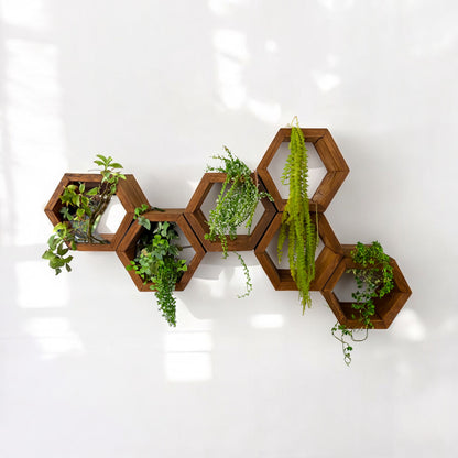 Mini Hexagon Wall Shelves, Set of 6