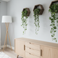 Plant-Optimized Hexagon Floating Shelves - Handcrafted Wood Display for Plant Parents (9.25" Deep)