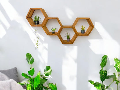 Floating Plant Shelves Hexagon Set - 5.5" Deep Wall Mounted Plant Display