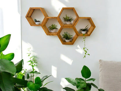 Floating Plant Shelves Hexagon Set - 5.5" Deep Wall Mounted Plant Display