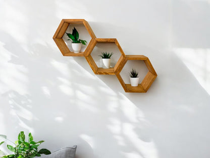 Floating Plant Shelves Hexagon Set - 5.5" Deep Wall Mounted Plant Display