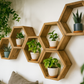 Floating Plant Shelves Hexagon Set - 5.5" Deep Wall Mounted Plant Display