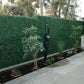Dark Artificial Boxwood Wall Panel 40" x 40" 11SQ FT