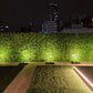 Lush Fern Artificial Green Wall 40" x 40" 11SQ FT UV Resistant
