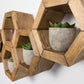 Mini Hexagon Shelves, Set of Hexagons, Honeycomb Shelves, Plant Shelves, Wall Decor