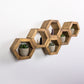 Mini Hexagon Shelves, Set of Hexagons, Honeycomb Shelves, Plant Shelves, Wall Decor