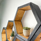 Set of 6 Hexagon Shelves, Two Tone, Two Color, Honeycomb Shelves, Plant Shelves, Wall Decor