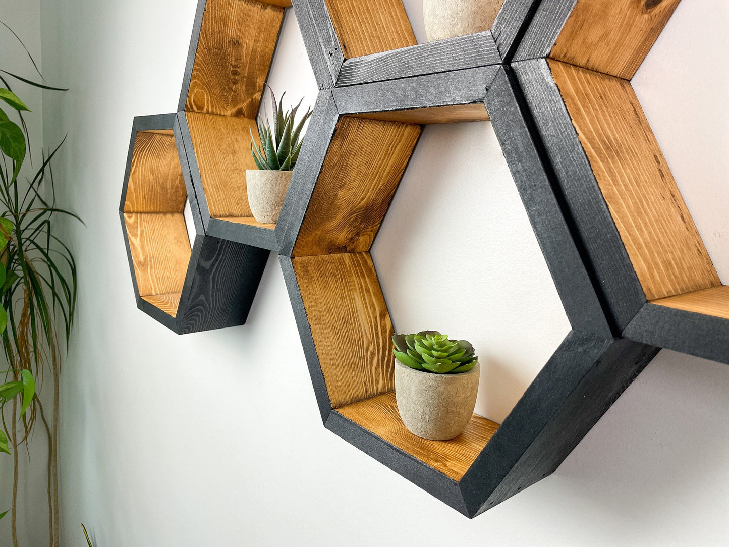 Set of 6 Hexagon Shelves, Two Tone, Two Color, Honeycomb Shelves, Plant Shelves, Wall Decor