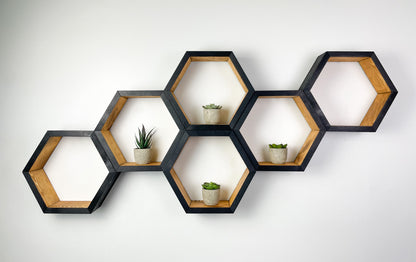 Set of 6 Hexagon Shelves, Two Tone, Two Color, Honeycomb Shelves, Plant Shelves, Wall Decor