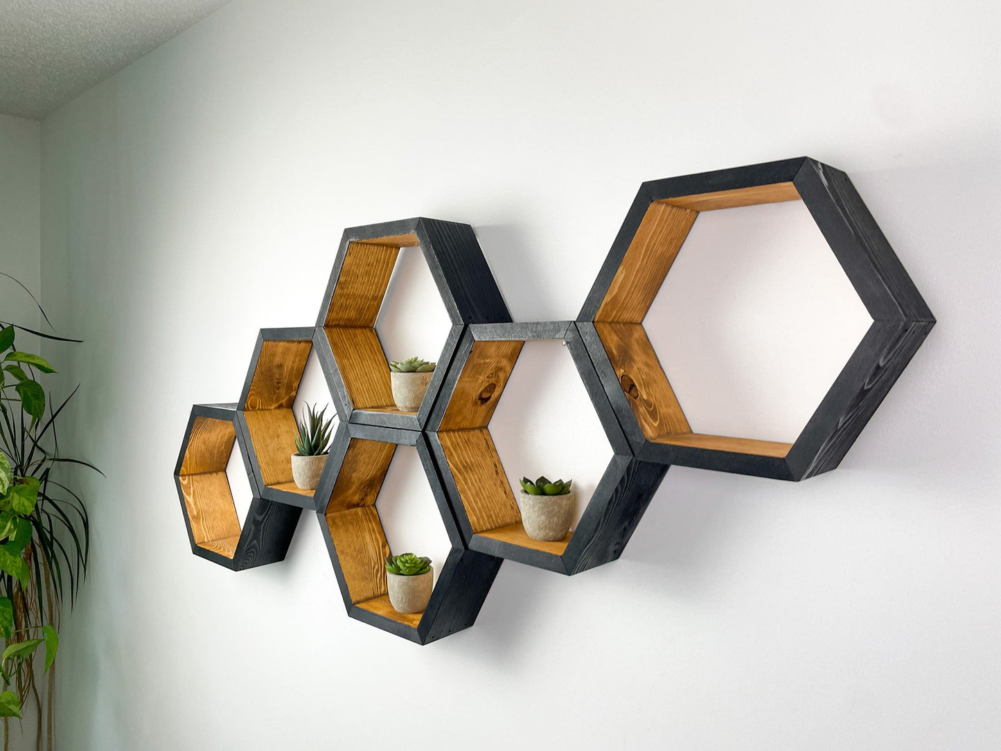 Set of 6 Hexagon Shelves, Two Tone, Two Color, Honeycomb Shelves, Plant Shelves, Wall Decor