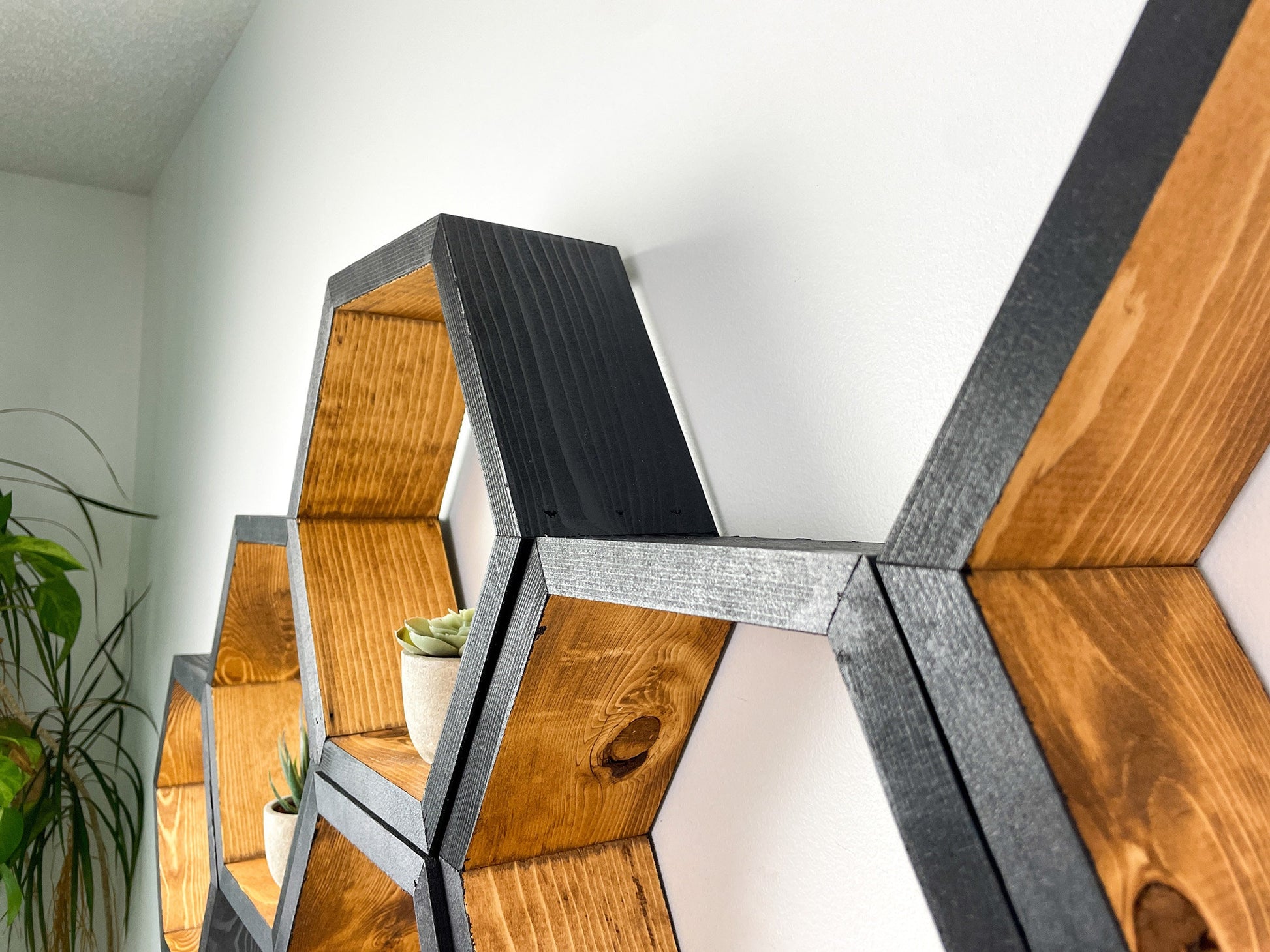 Set of 6 Hexagon Shelves, Two Tone, Two Color, Honeycomb Shelves, Plant Shelves, Wall Decor